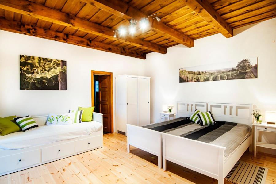 Sed Pince Vendeghaz Aparthotel Somlojeno Luaran gambar